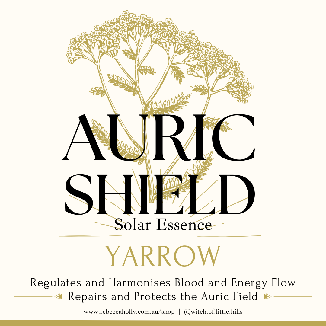 Auric Shield Insta post.png