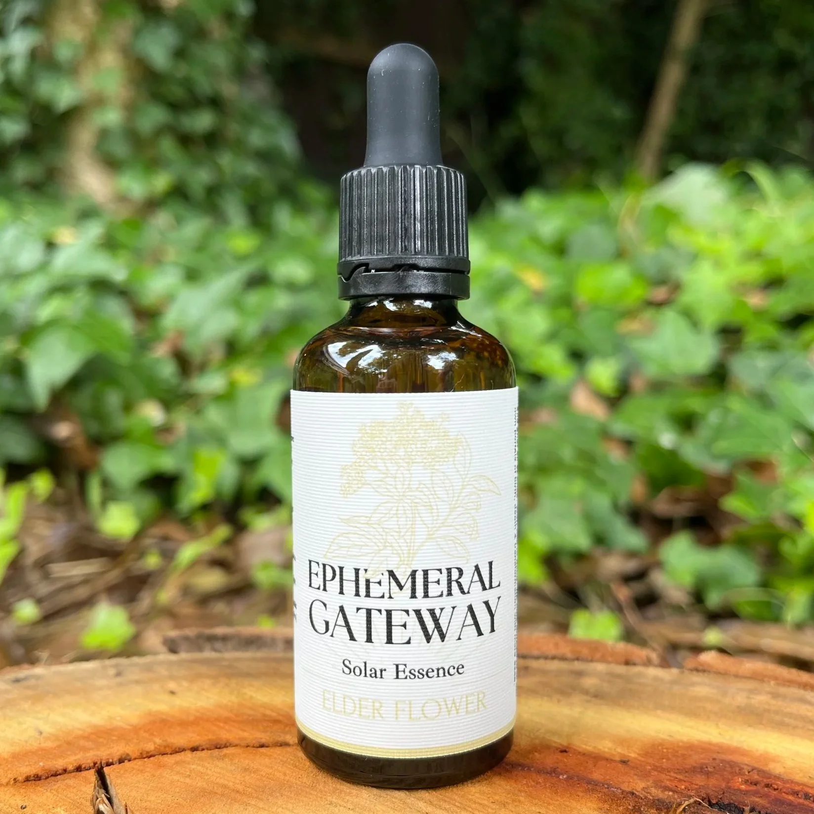 Ephemeral Gateway - ELDER FLOWER Solar Flower Essence 50ml