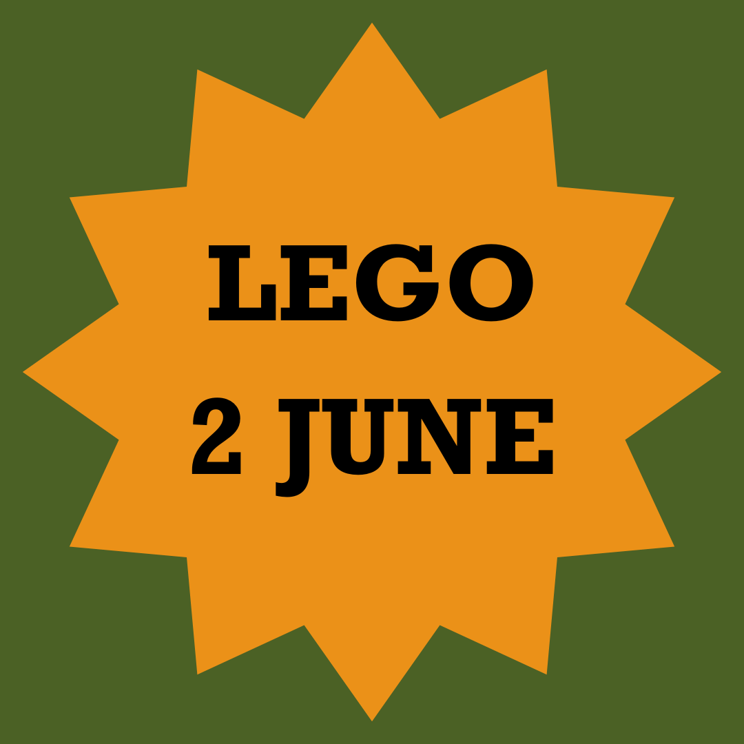 Half Term Lego