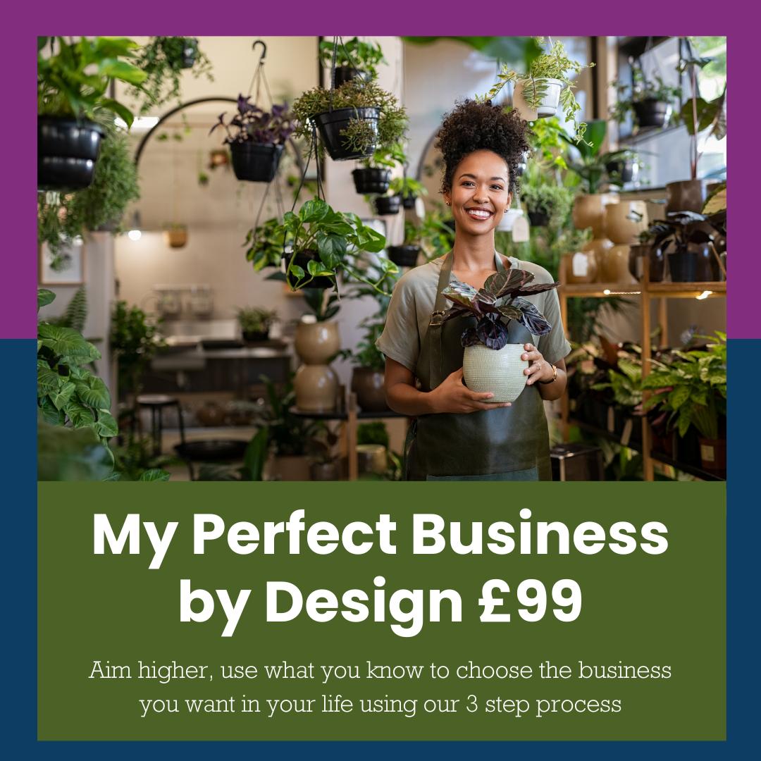 My Perfect Business by Design