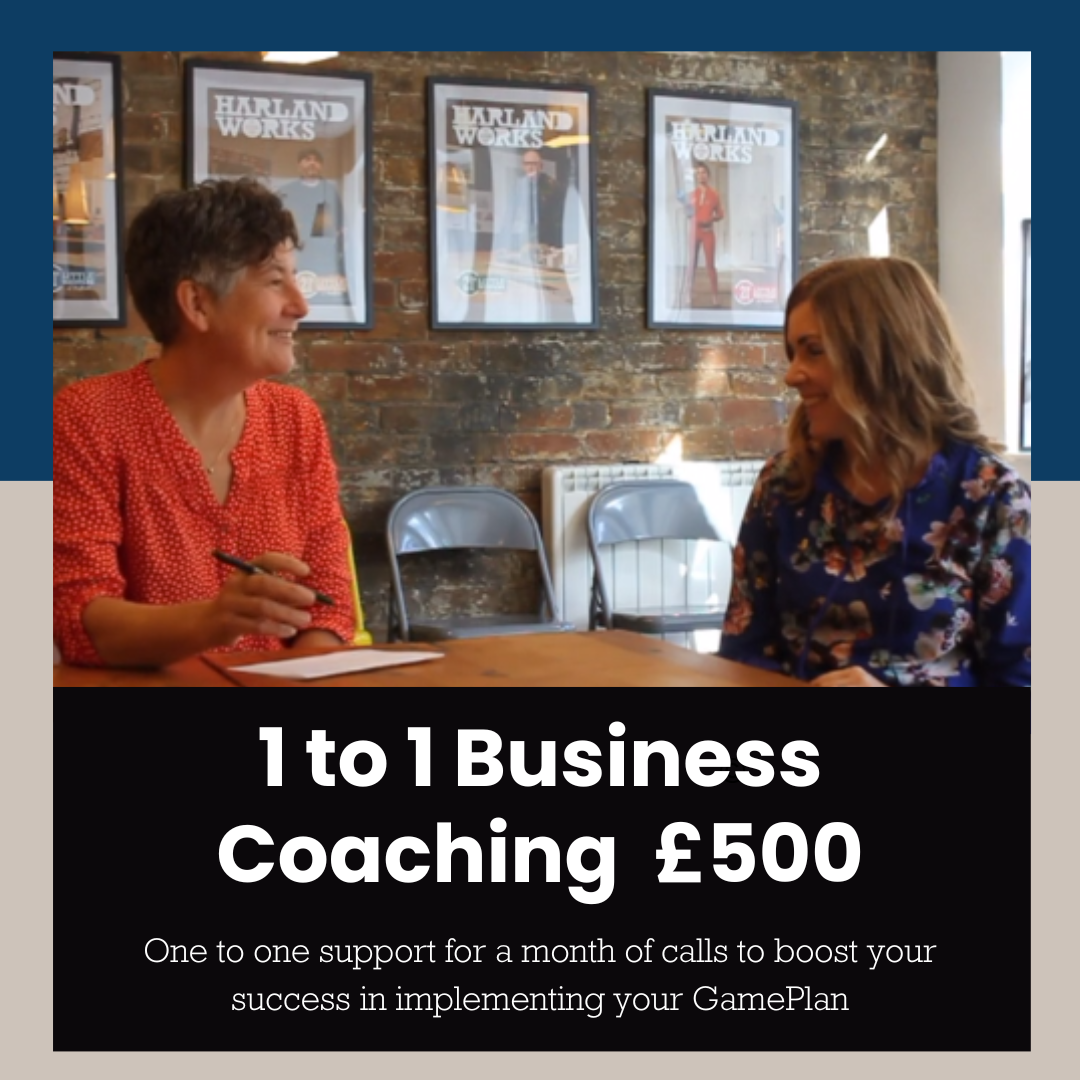 1 to 1 Business Coaching