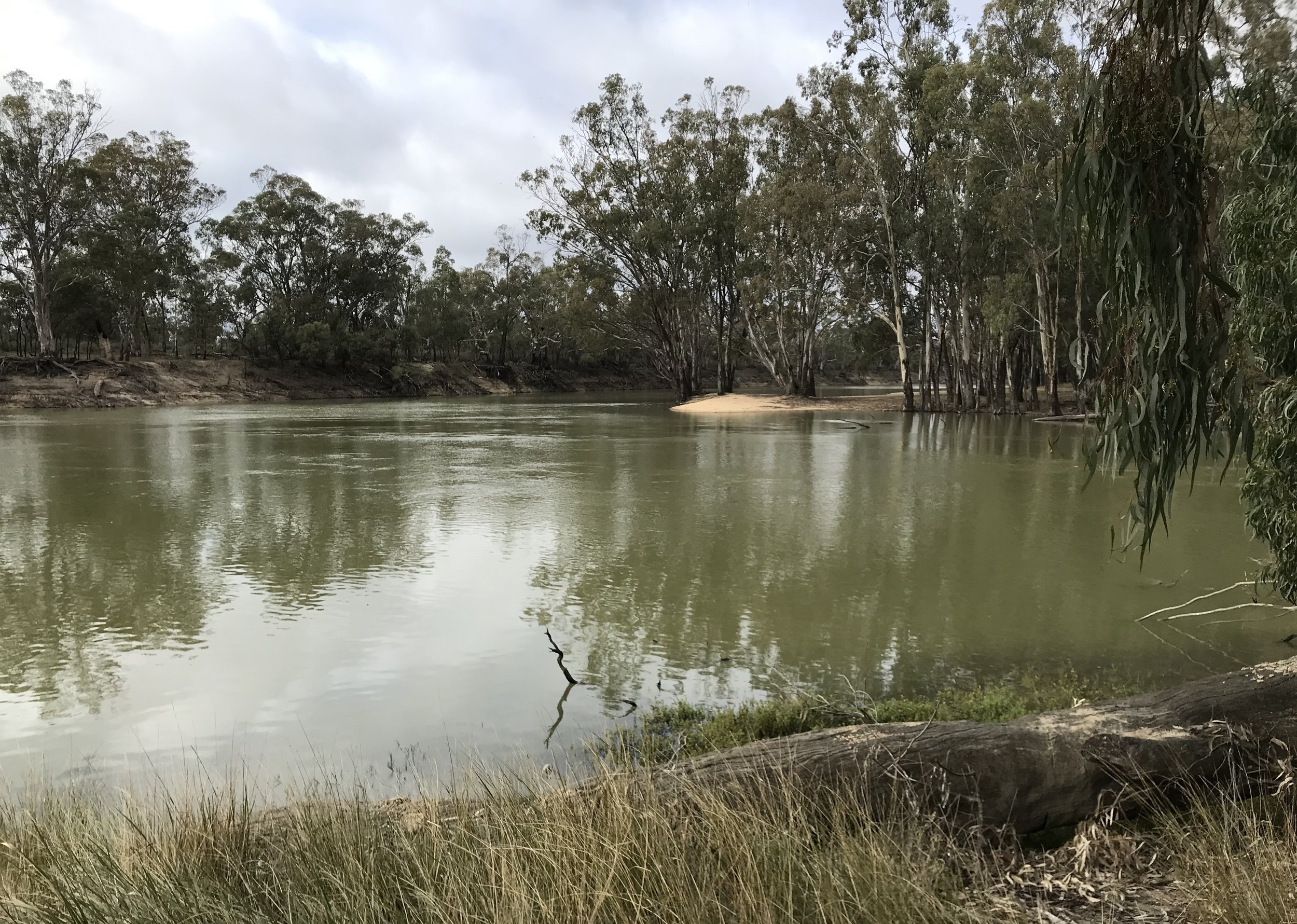 Wakool junction