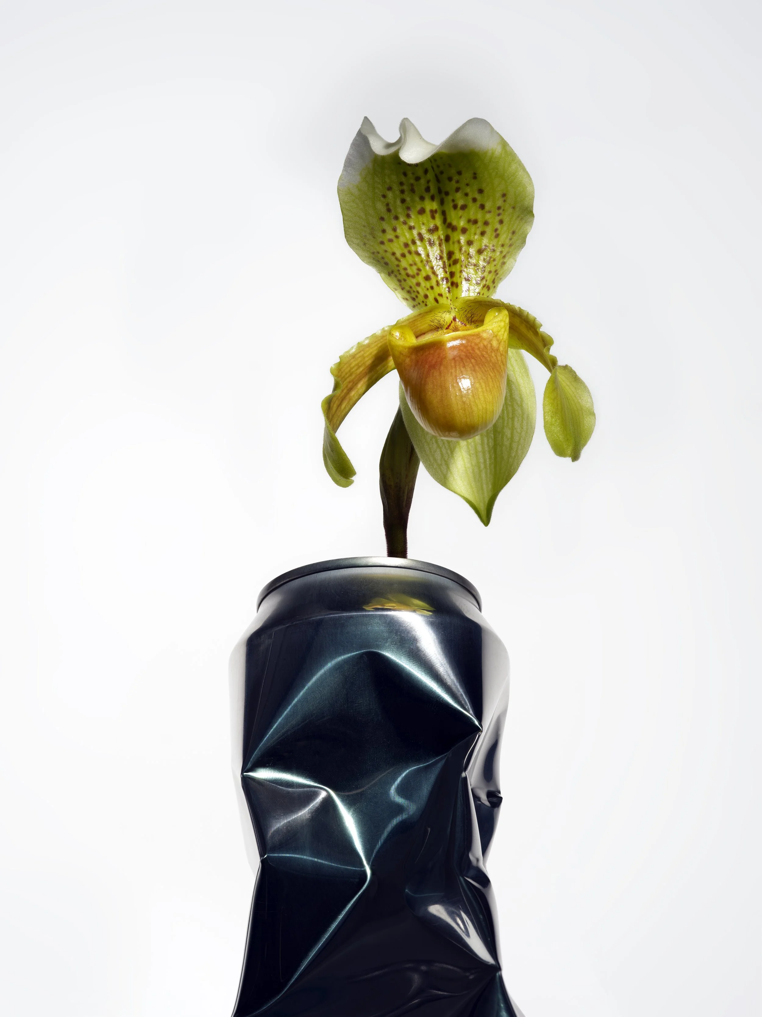 2025-11-14 16-59-02 (B,Radius5,Smoothing2) copie.JPG