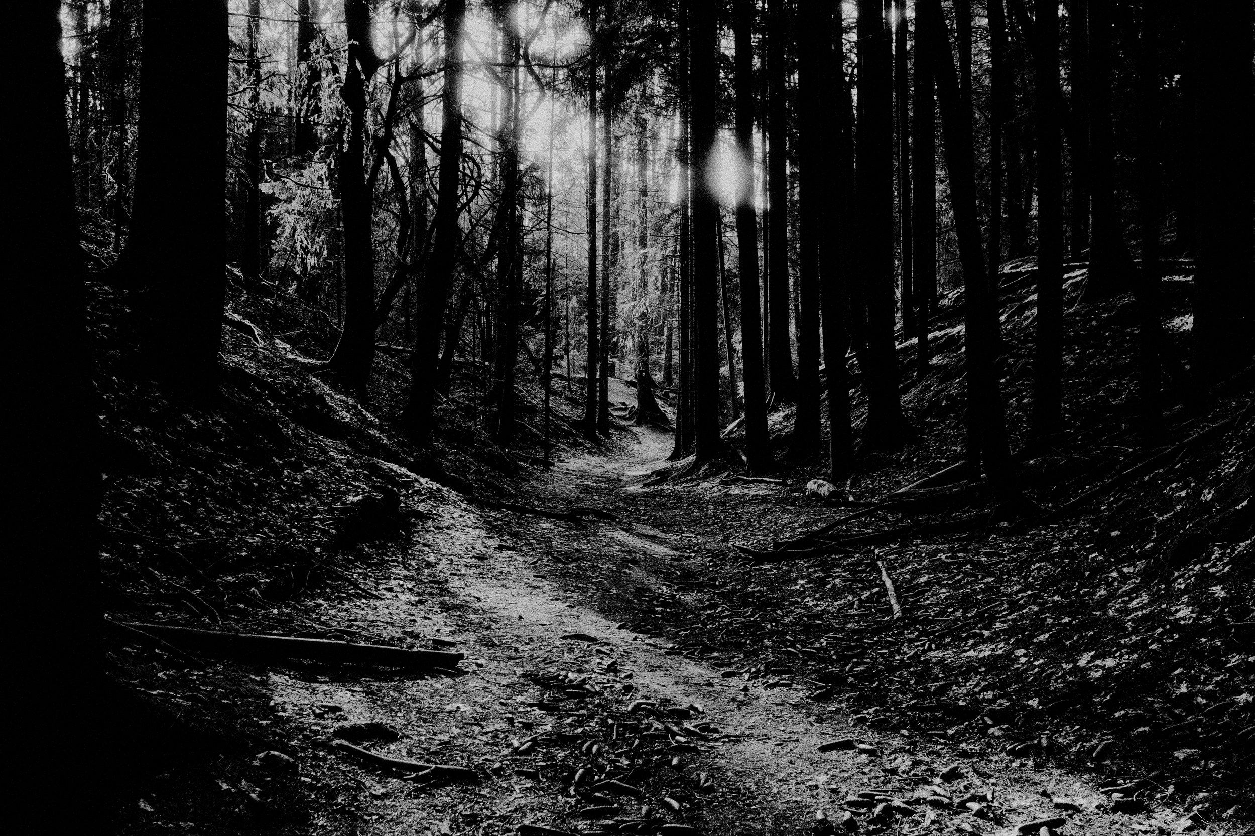 DEADY_2026_REBIRTH-225.jpg
