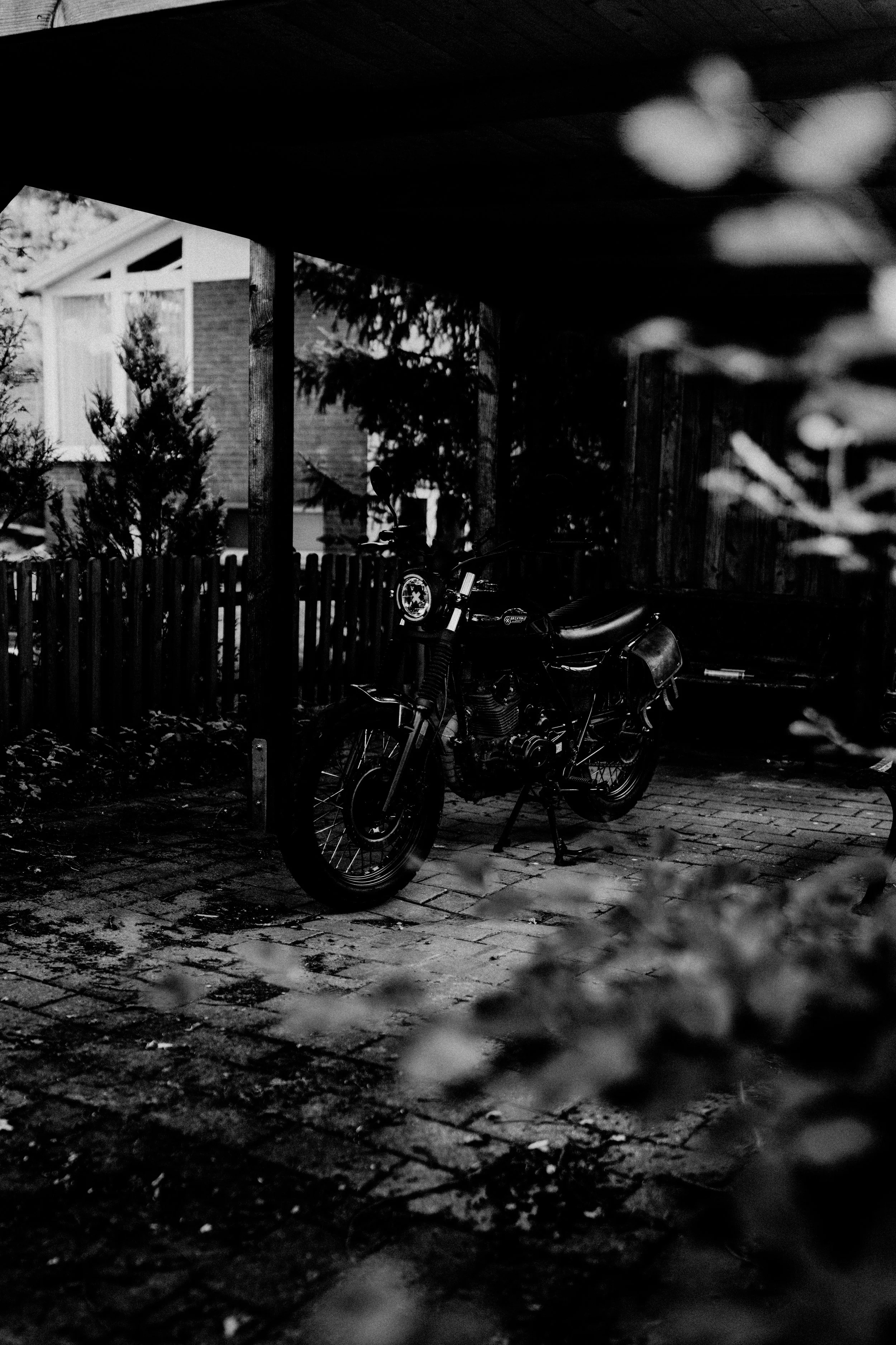 DEADY_2026_REBIRTH-205.jpg