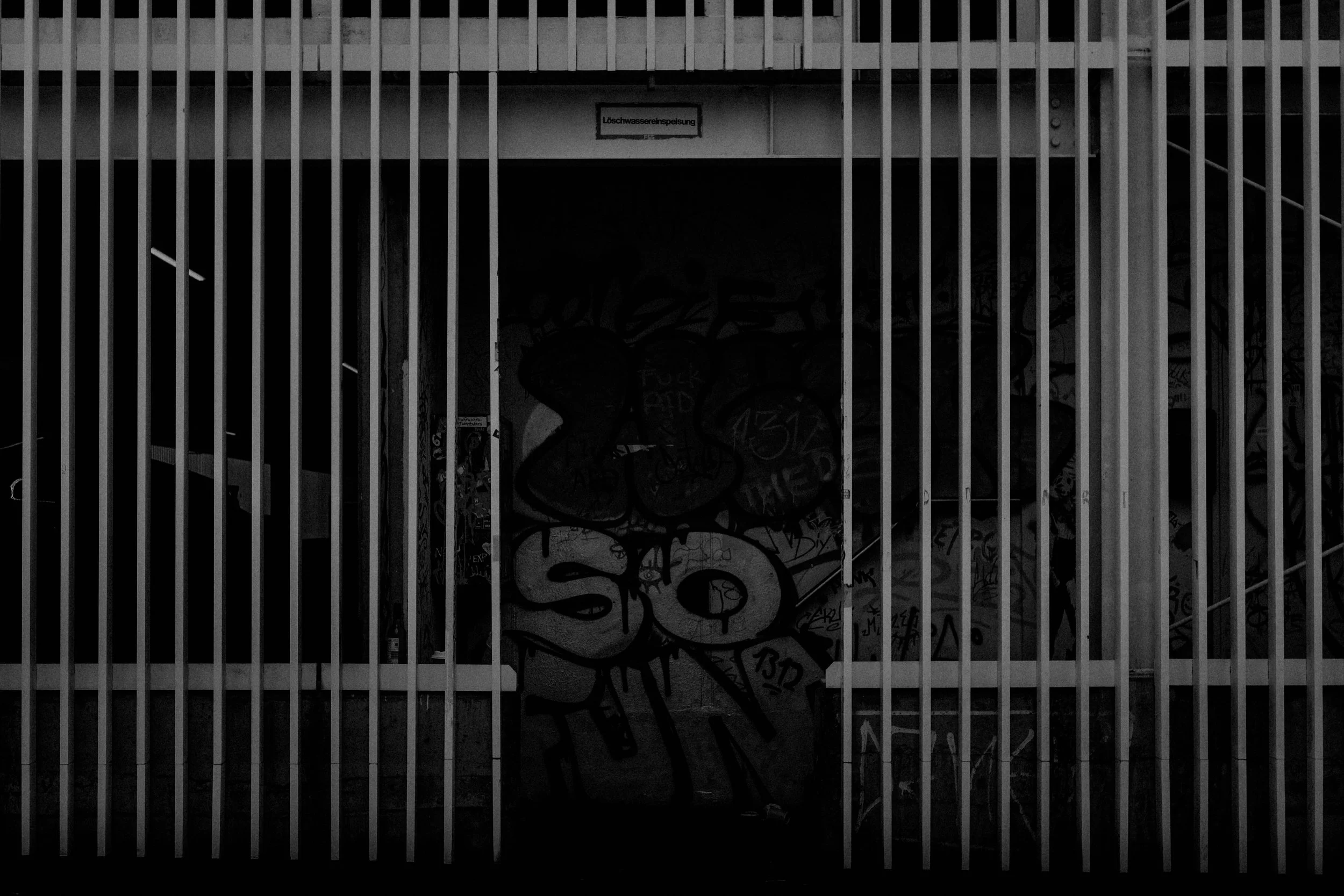 DEADY_2026_REBIRTH-285.jpg