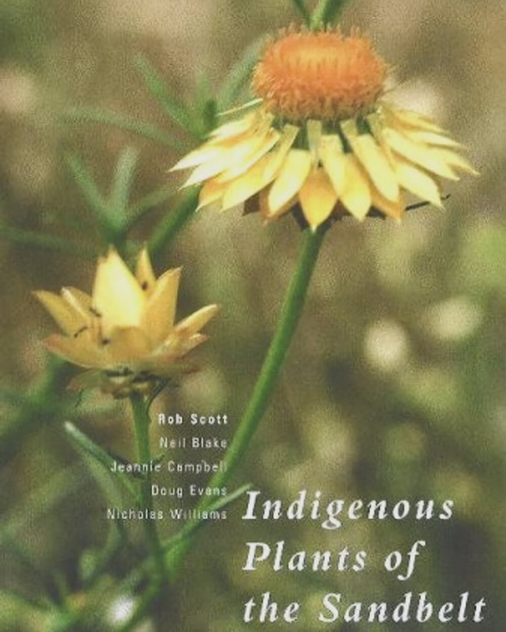 On the hunt for this out-of-print book 🌼 $371.99 on AbeBooks seems a touch pricey/extortionate 🙄 and the one I ordered at the library is &ldquo;missing&rdquo;, a.k.a. probably liberated by another plant nerd? I&rsquo;ll get hold of a library copy e