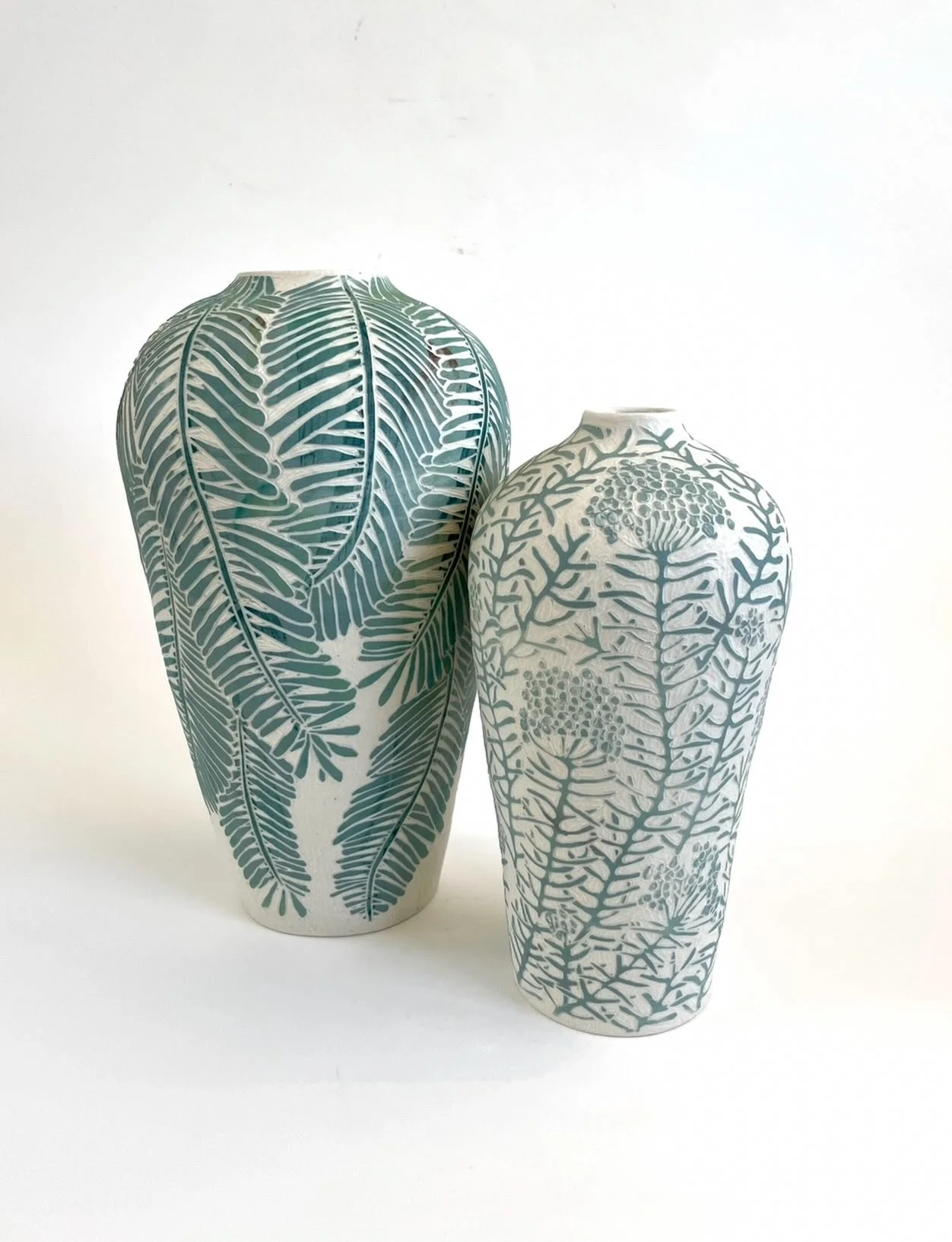 Wollemi Pine and Cassinia.