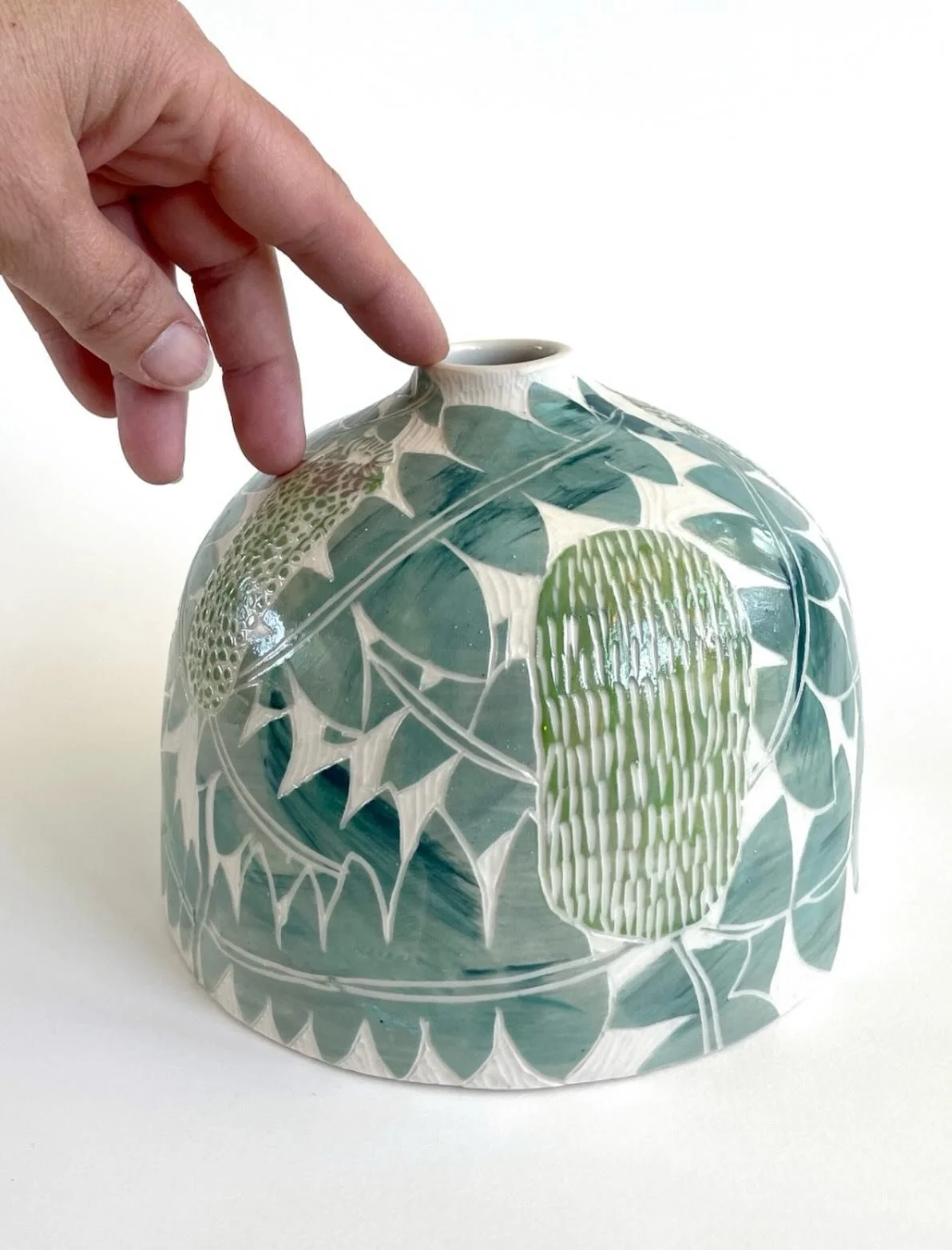 Bull Banksia from WA. Love the shape of its leaves.