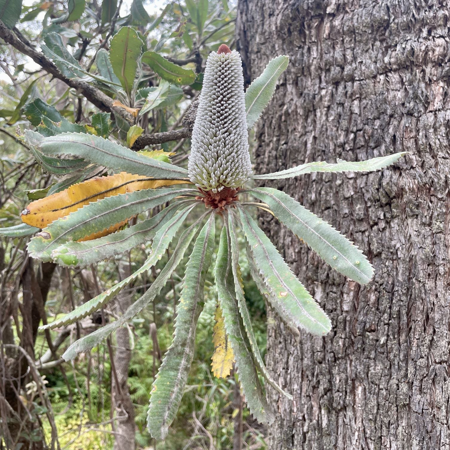 20251119_225947661_iOS 1.jpg