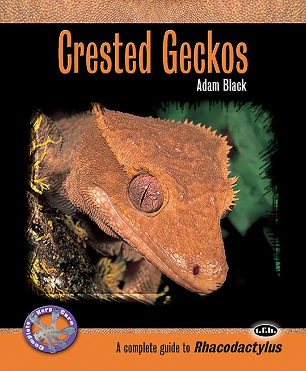 Book cover titled "Crested Geckos" by Adam Black, featuring a close-up photo of a crested gecko with orange-brown color and textured skin. The cover includes a logo of a gecko and the subtitle "A complete guide to Rhacodactylus."