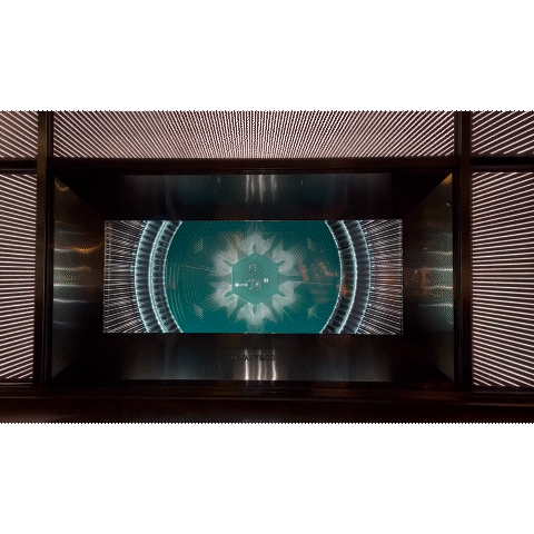 holiday 4.gif