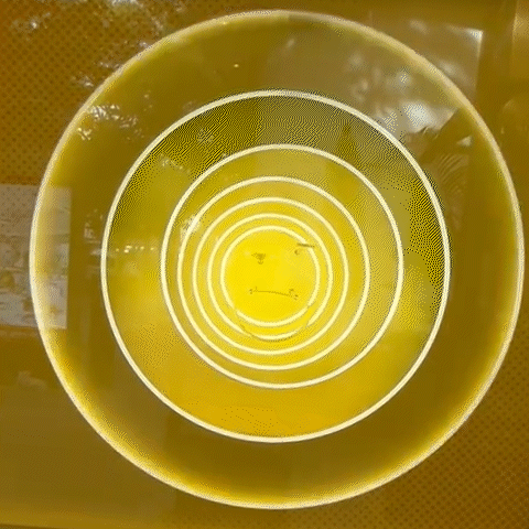 omo 1.gif