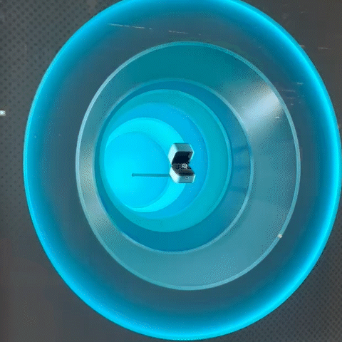 omo 4.gif