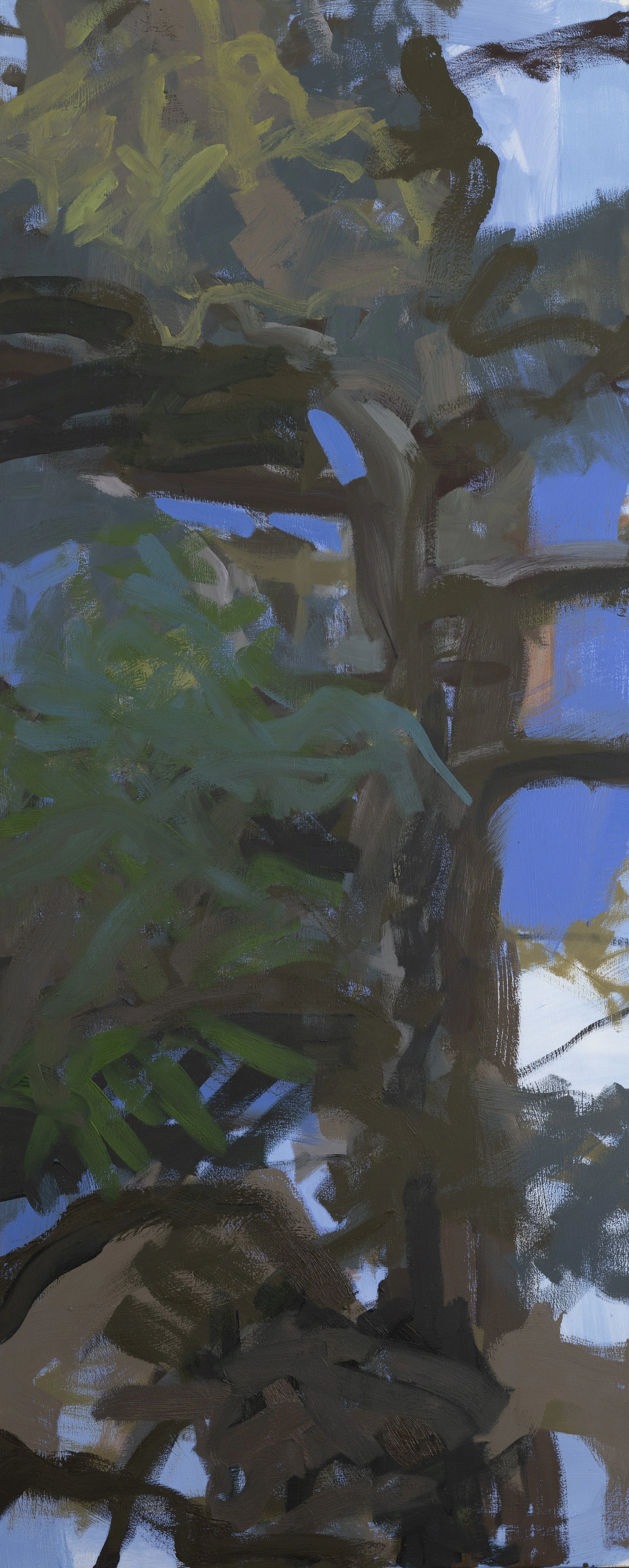 Pine Tree Suite 8