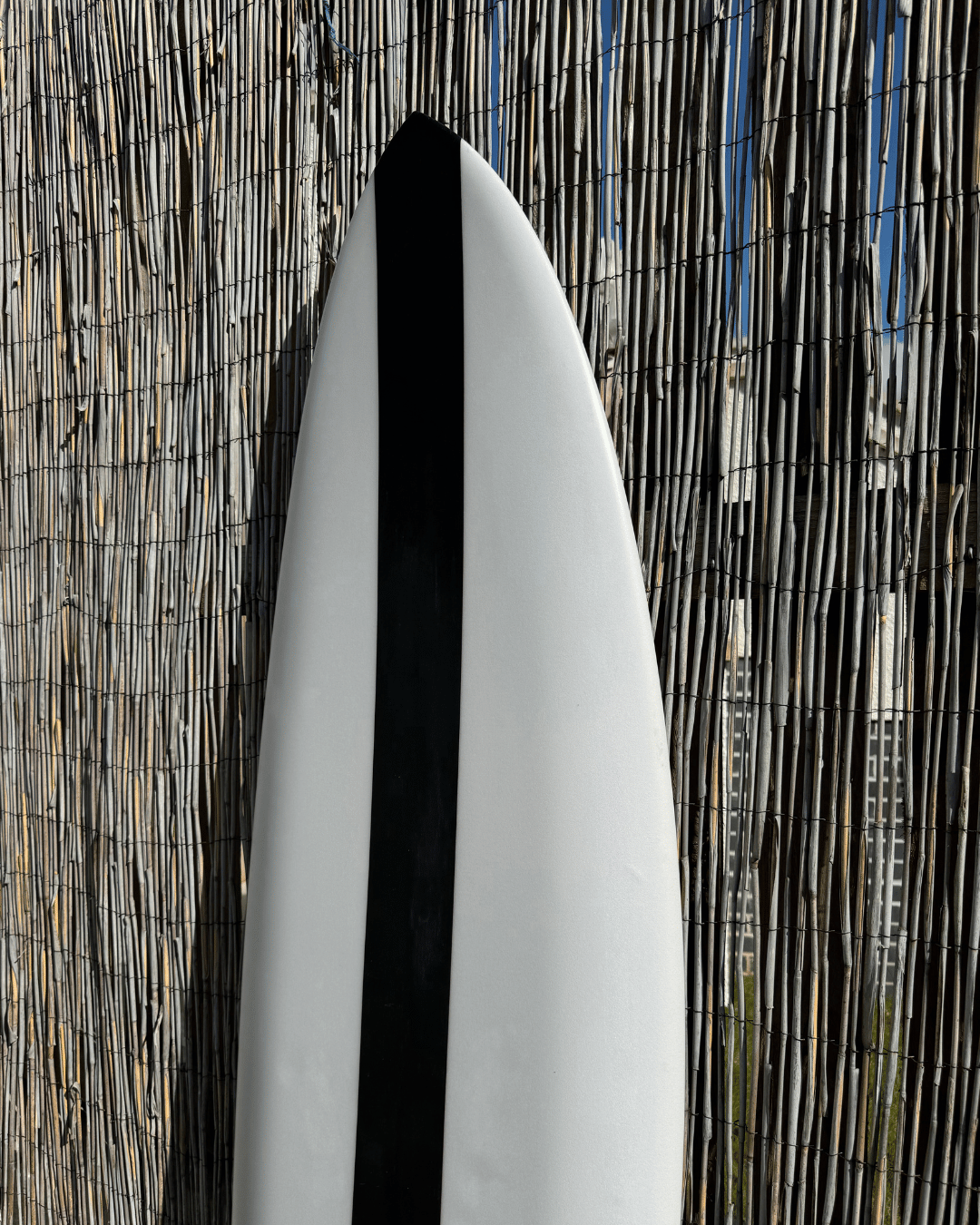 nose-of-fish-surfboard.png