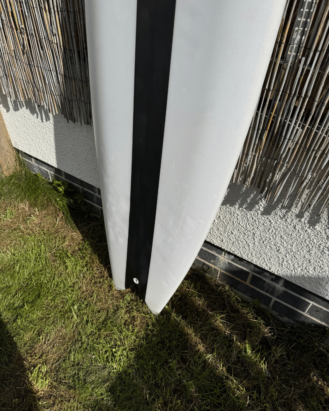 fish-tail-surfboard-cornwall.png