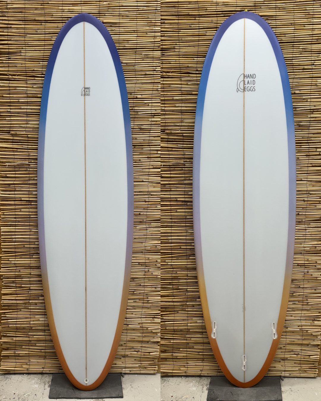 sunset-sunrise-surfboard.png