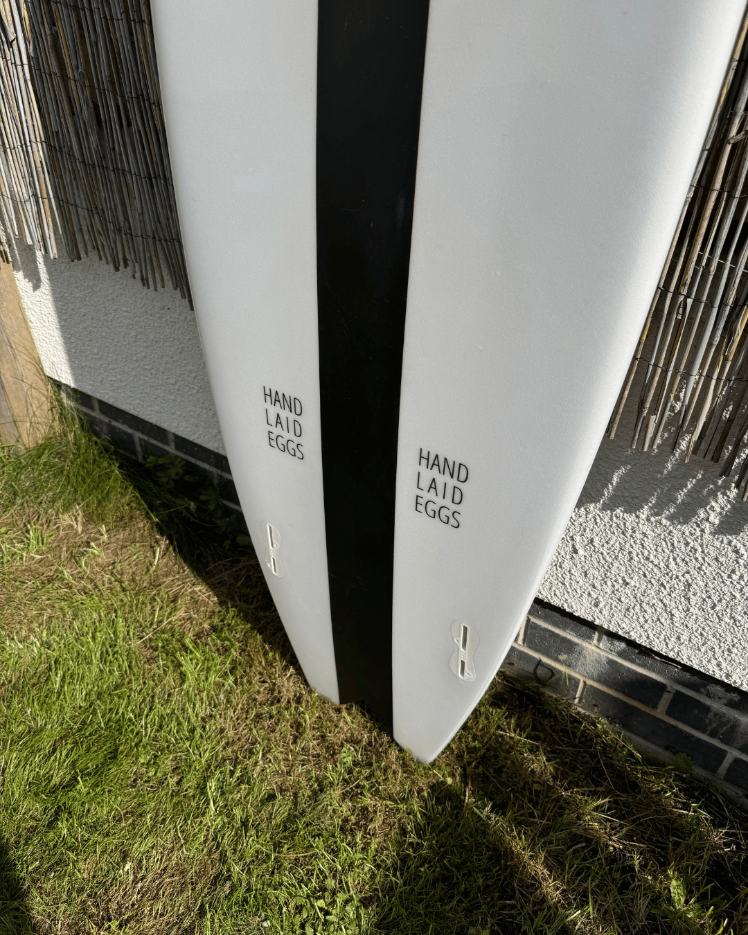 tail-of-fish-surfboard.png