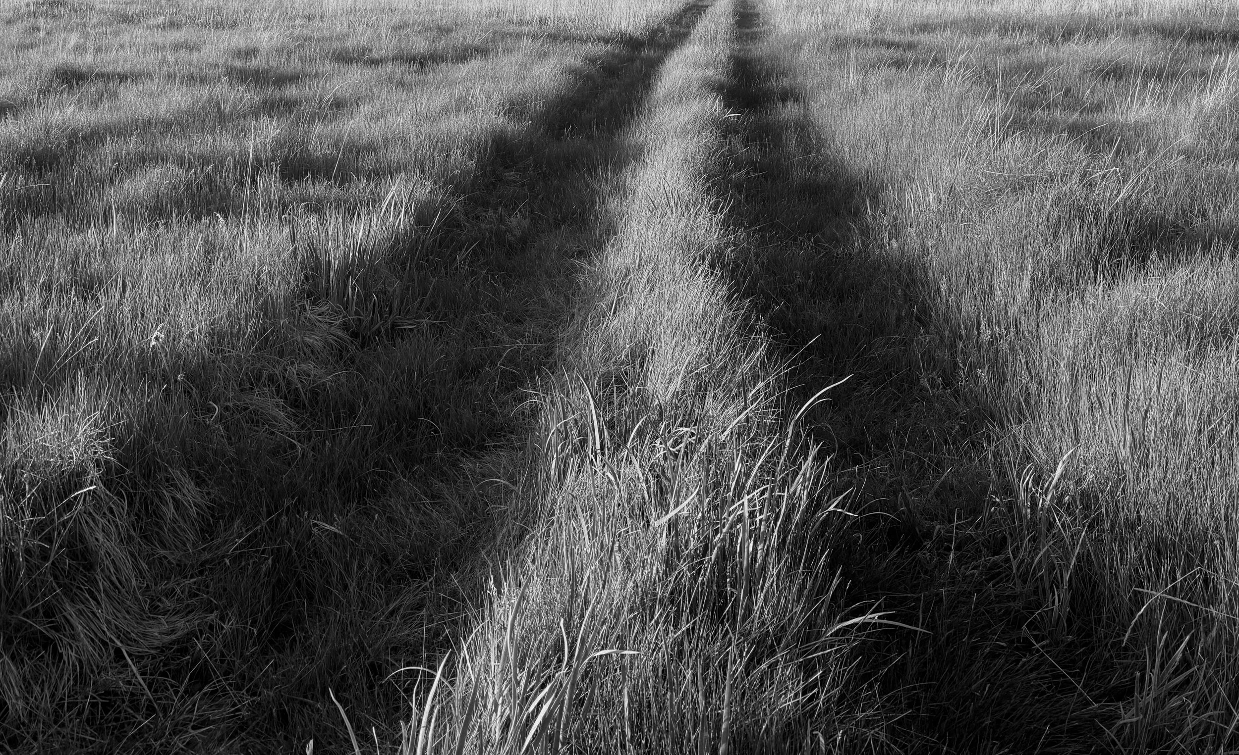 Land,Marked_3.jpg