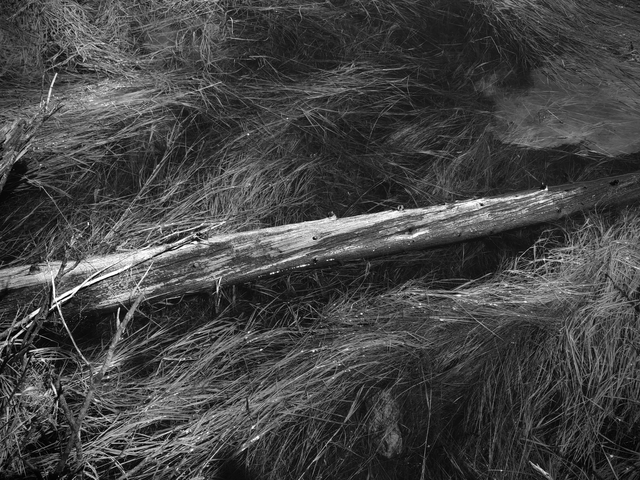Land,Marked_8.jpg