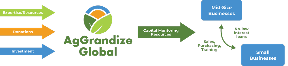 Our Work — AgGrandize Global