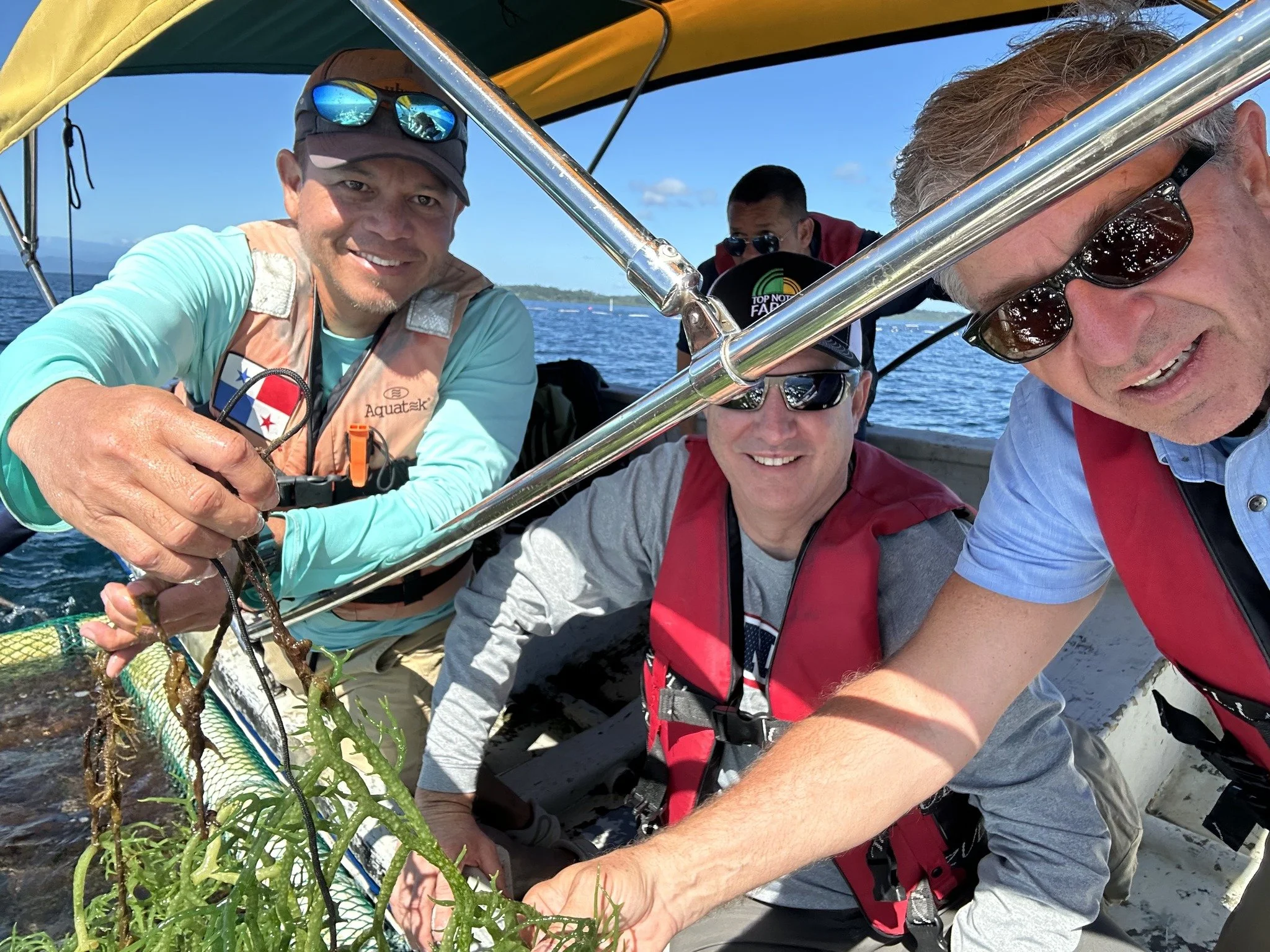 Touring Seaweed farms with Underwater Cowboys in Panama