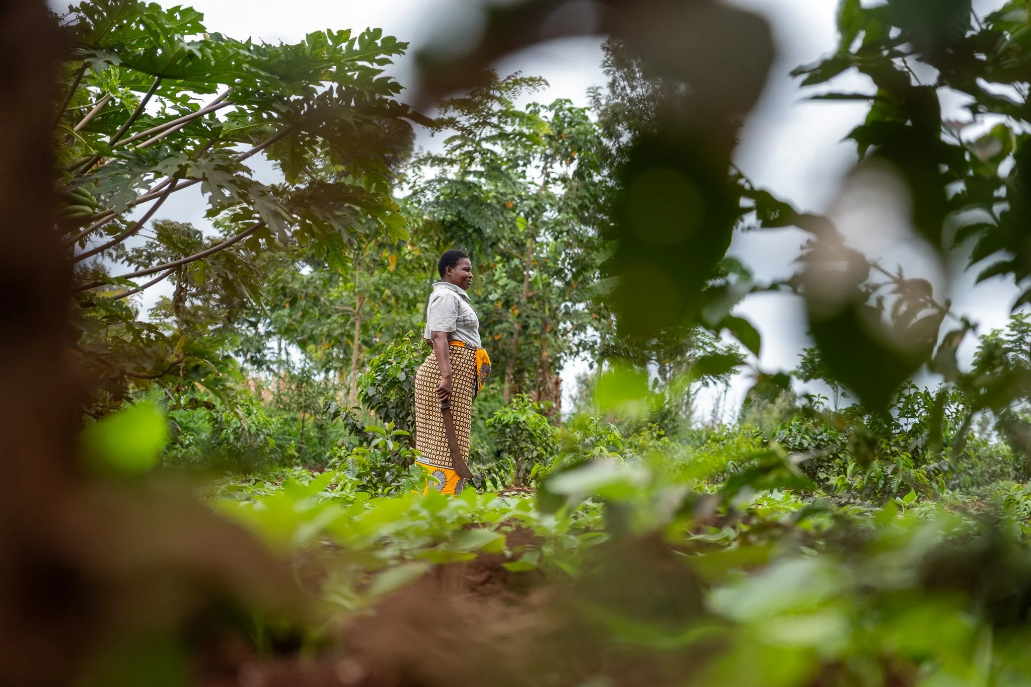 Aggrandize Portfolio Partner: Long Miles Coffee — AgGrandize Global