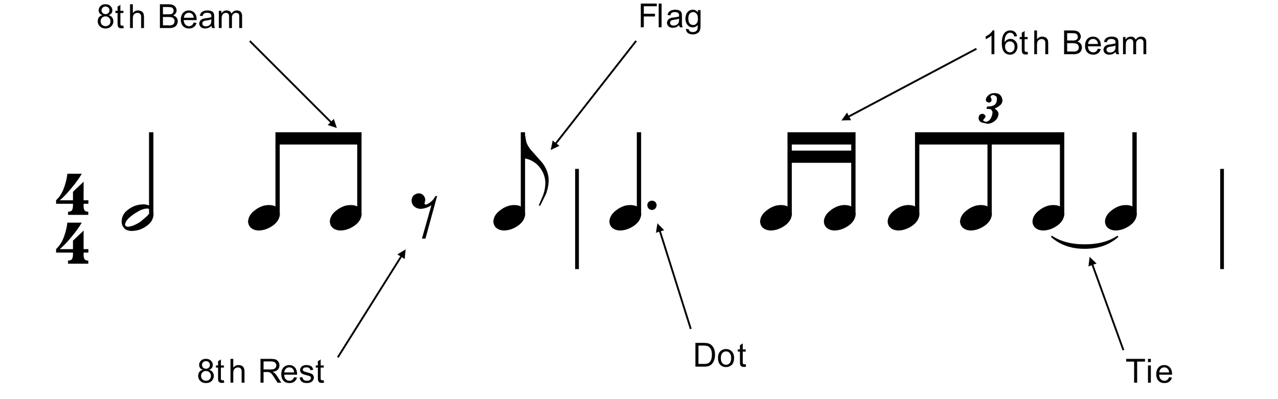 RMT 1.4 Notation Reading — shedthemusic