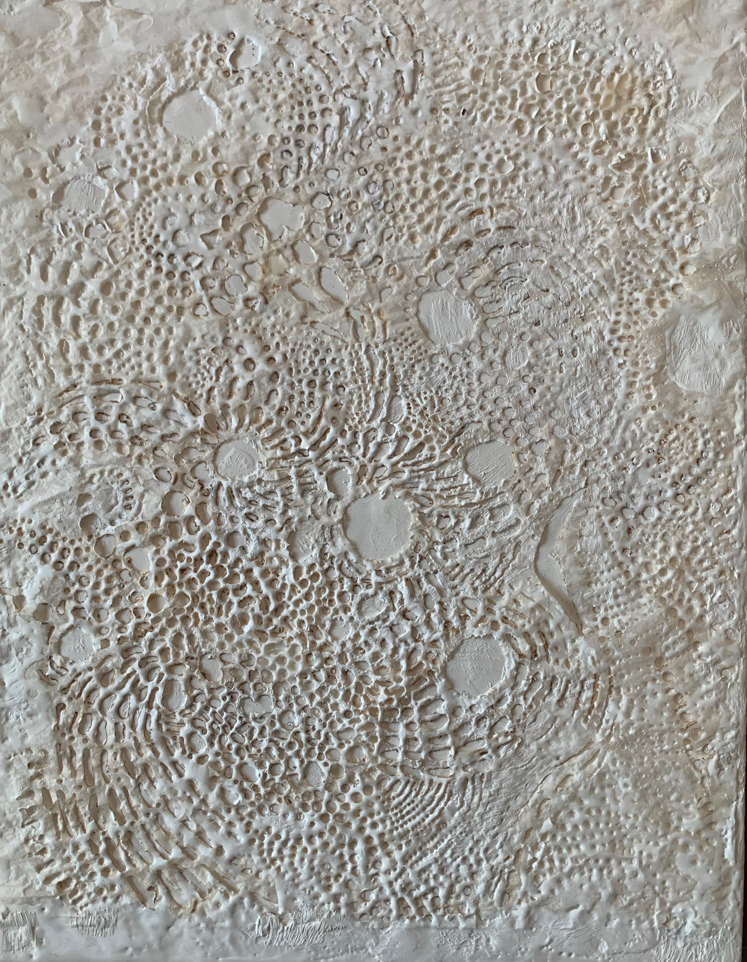 Doilies Gone Rogue.jpeg