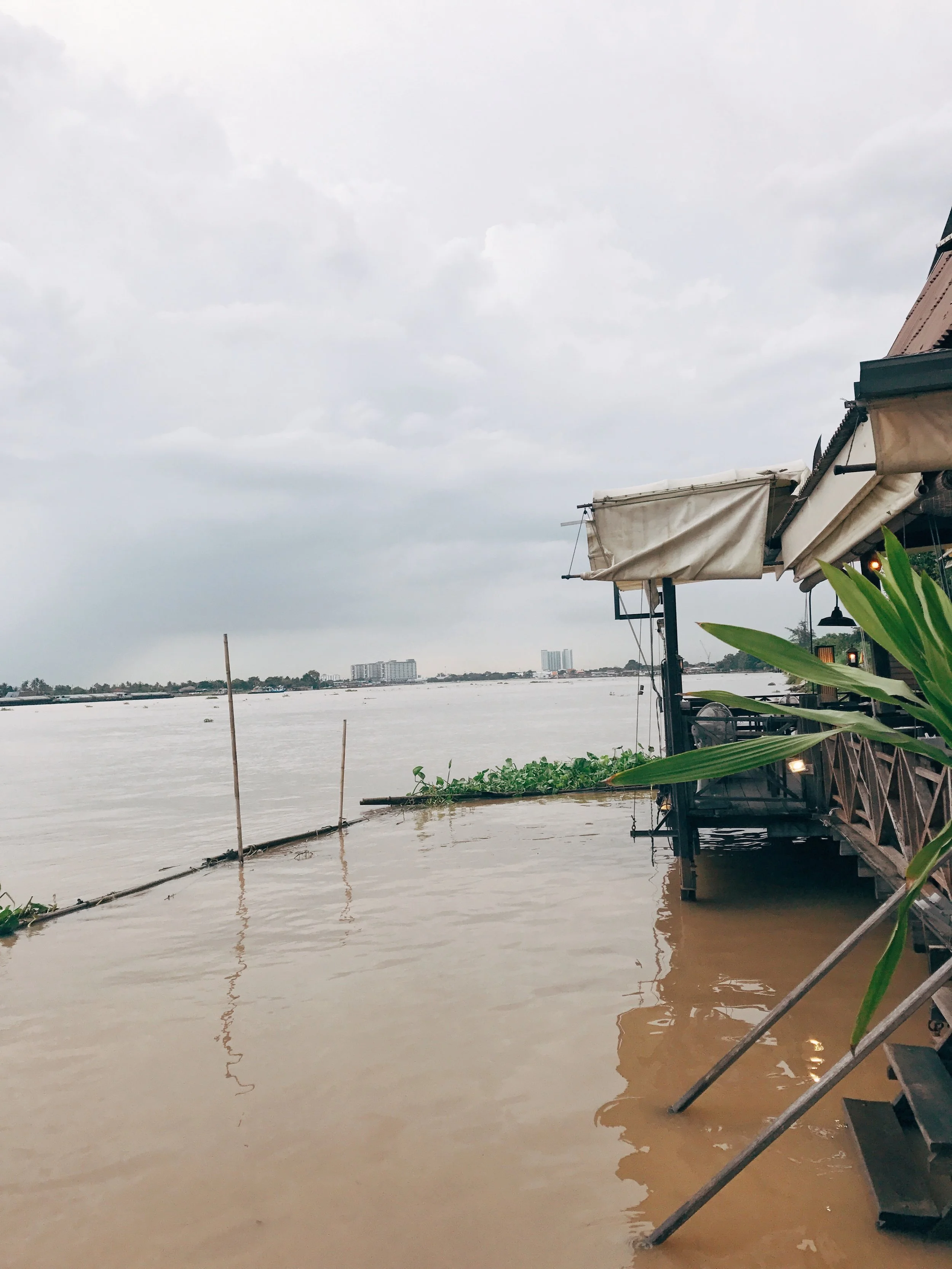 Year 3 | Calling All Prayer Warriors