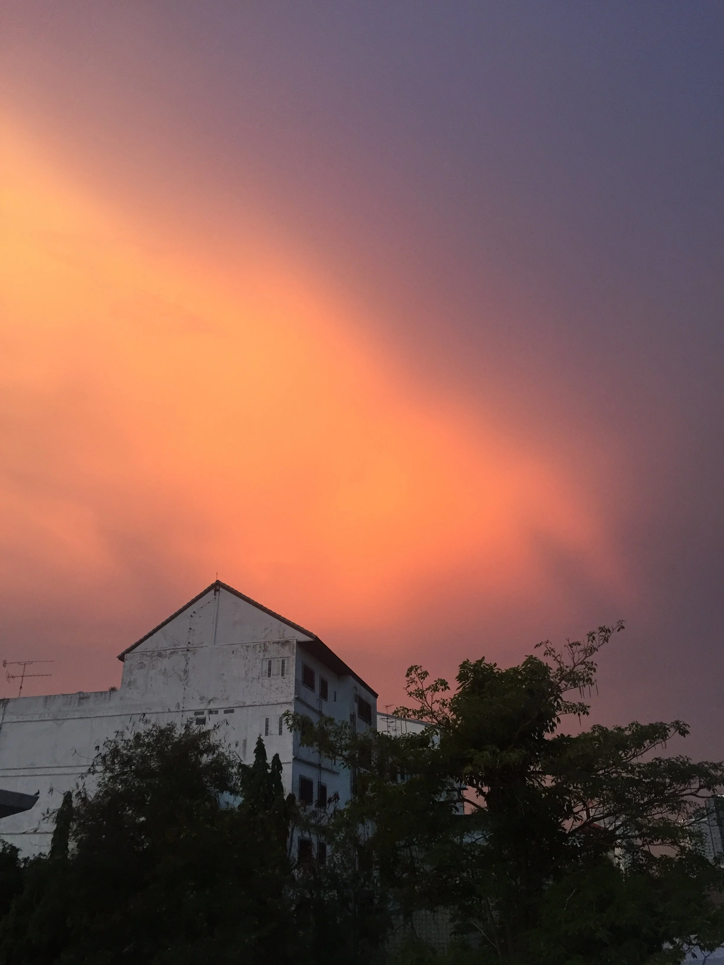 That's a Wrap...Top 5's