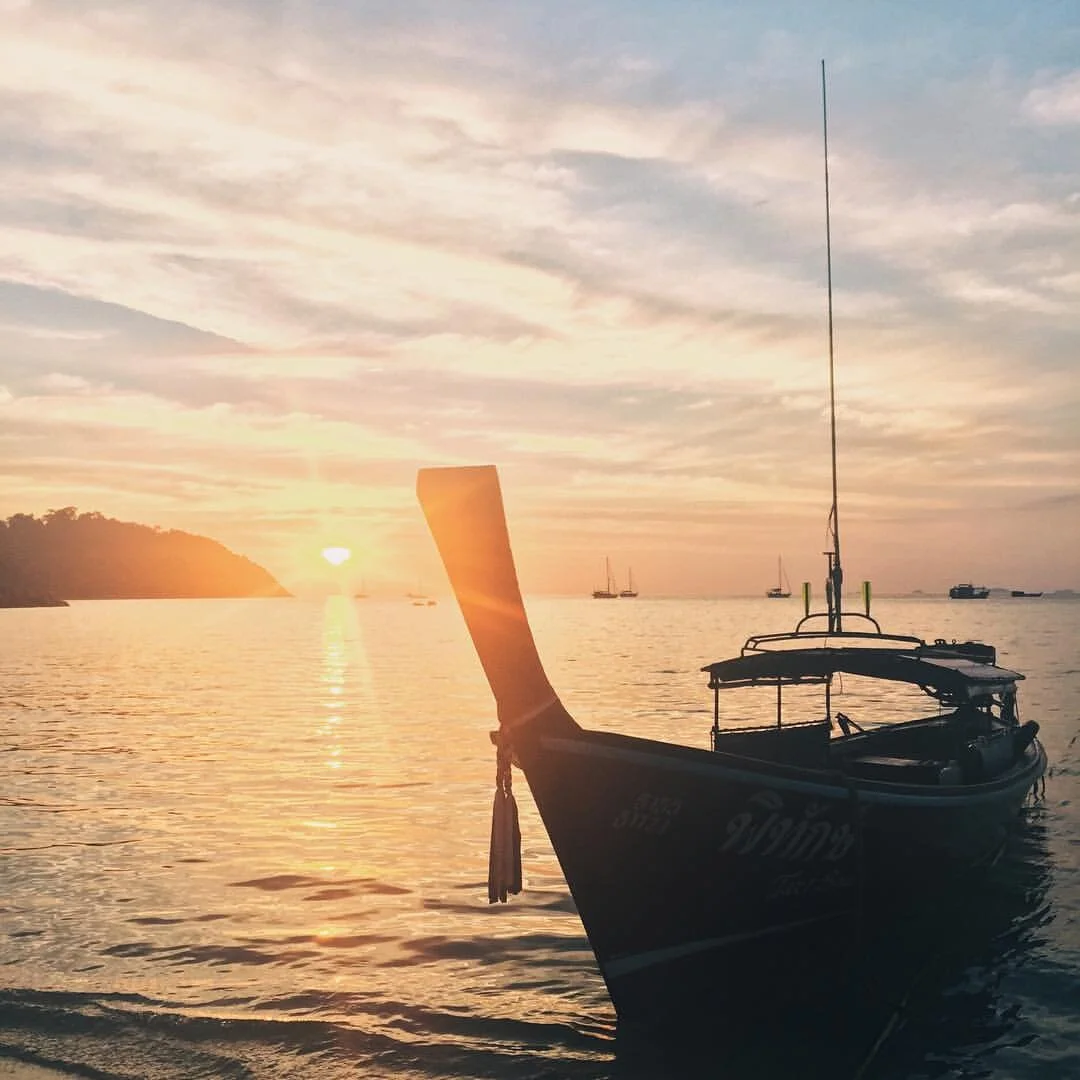 A Look Back On 2016...