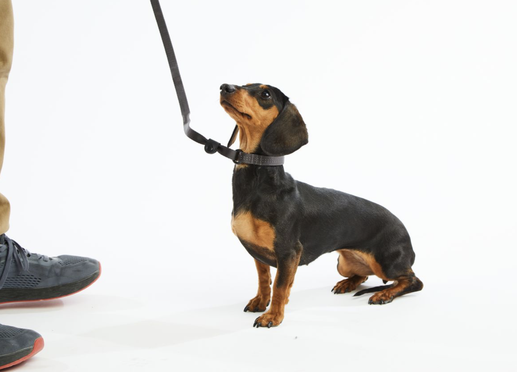 Screenshot 2025-12-23 at 12.56.26 PM.png