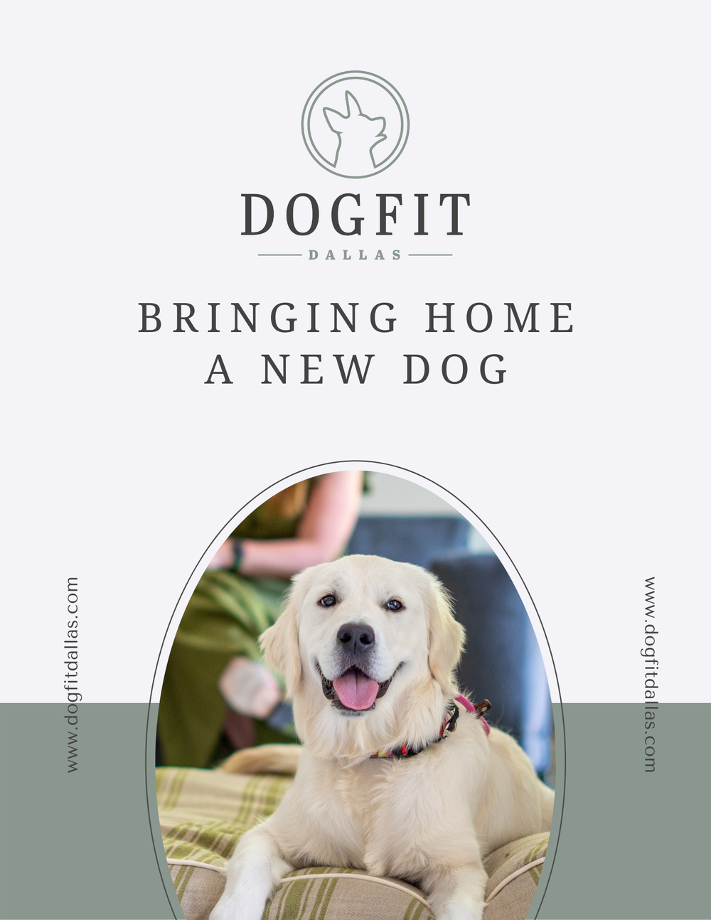 Bond Through Play and Enrichment