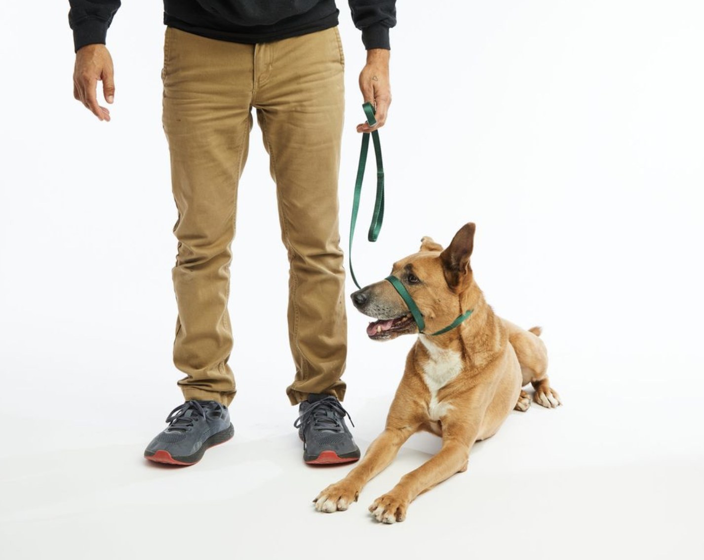 Screenshot 2025-12-23 at 12.53.23 PM.png