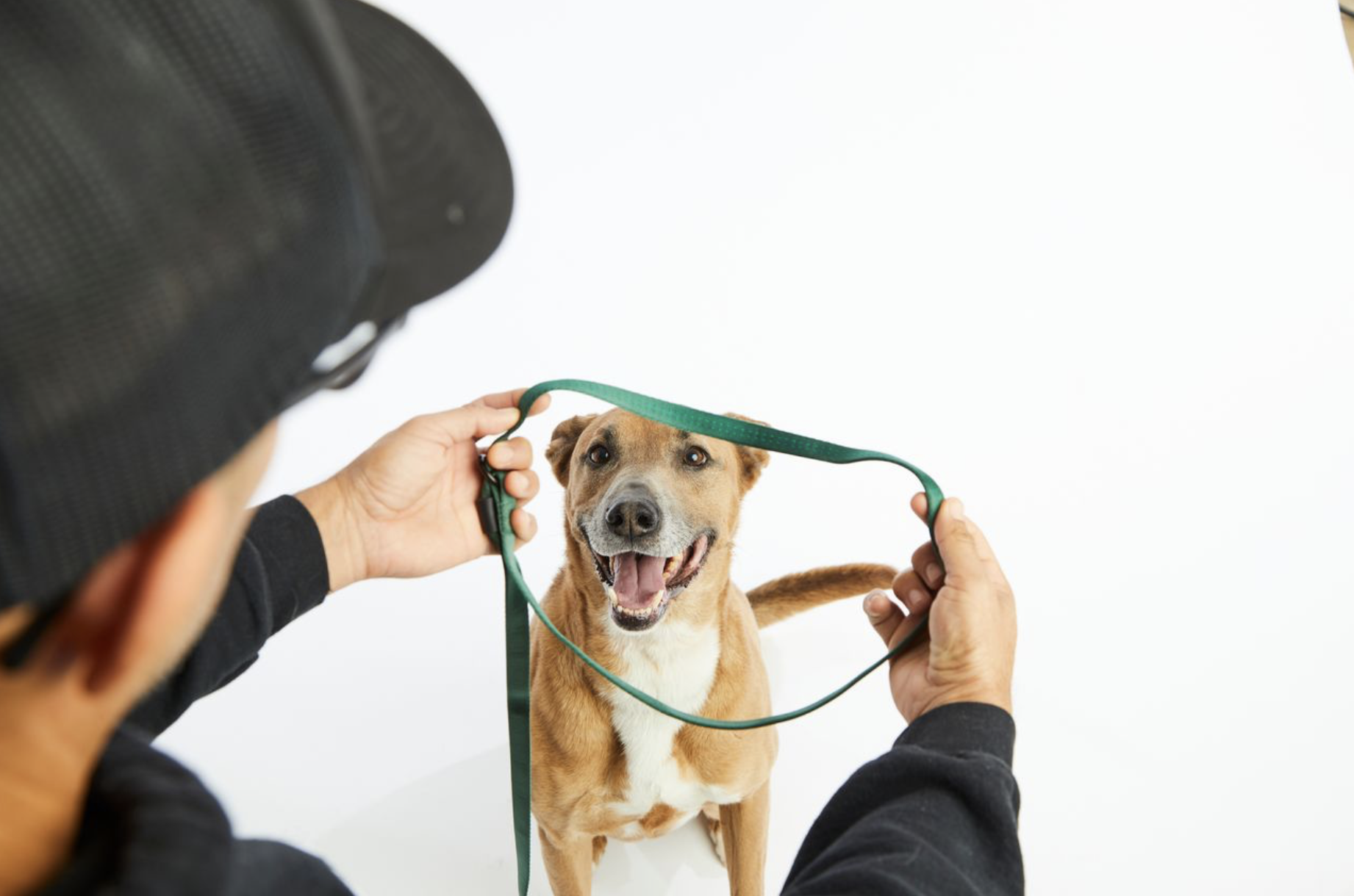 Screenshot 2025-12-23 at 12.54.38 PM.png