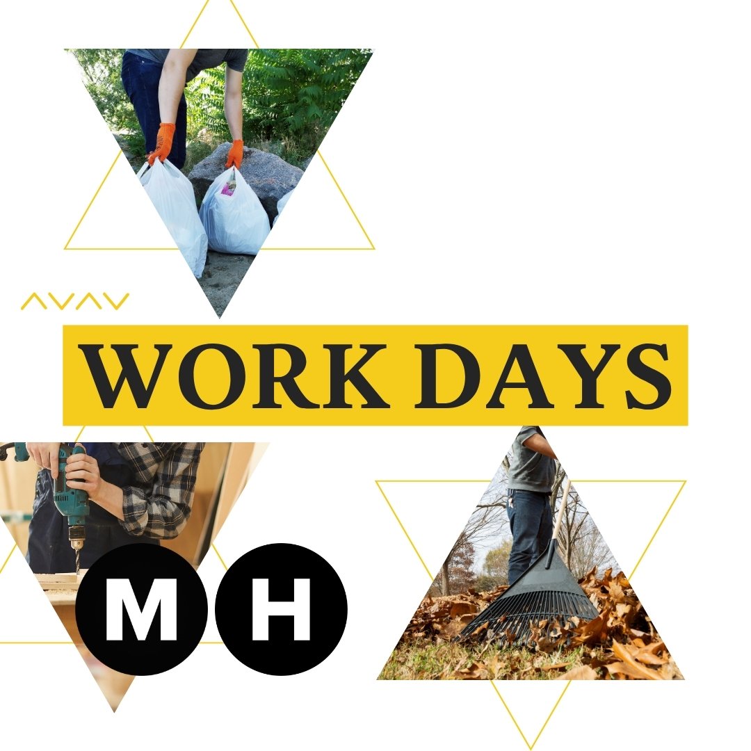 Summer Camp Work Day