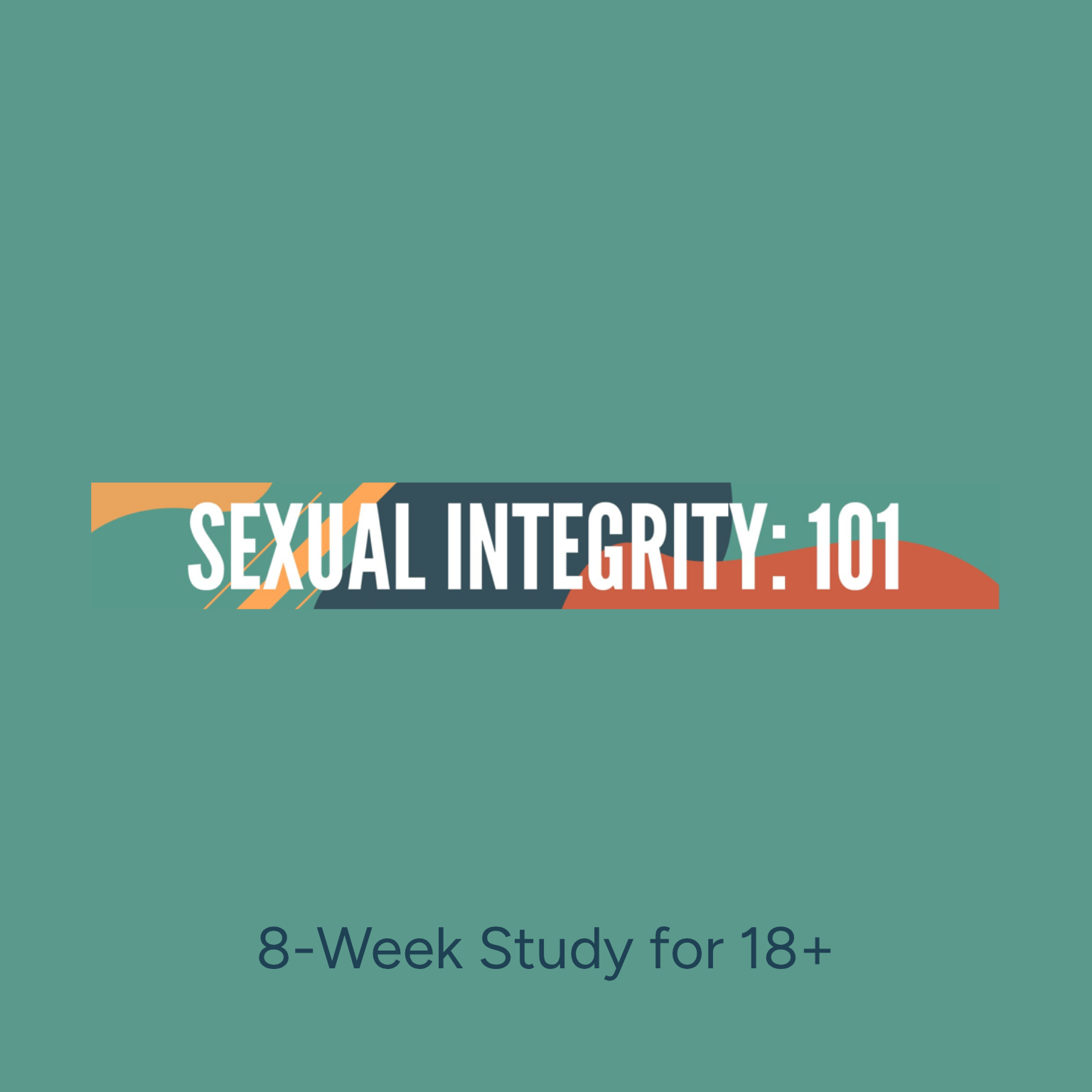 Sexual Integrity: 101