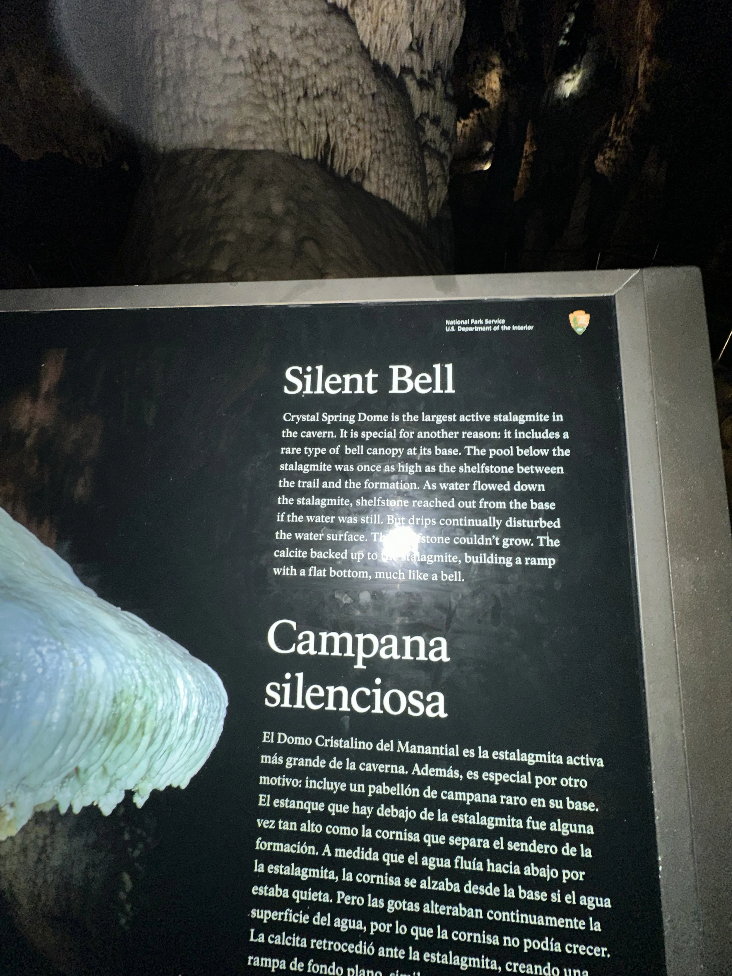 2024-01-30_10-36-20_245.jpeg