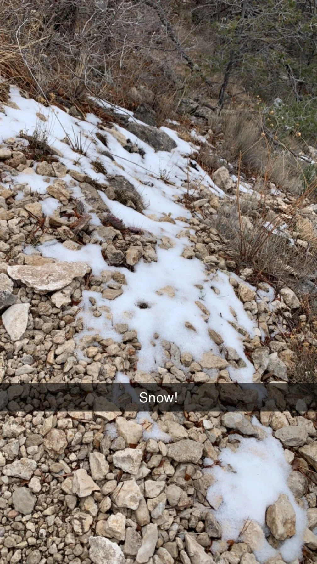2024-01-31_10-18-00_936.jpeg