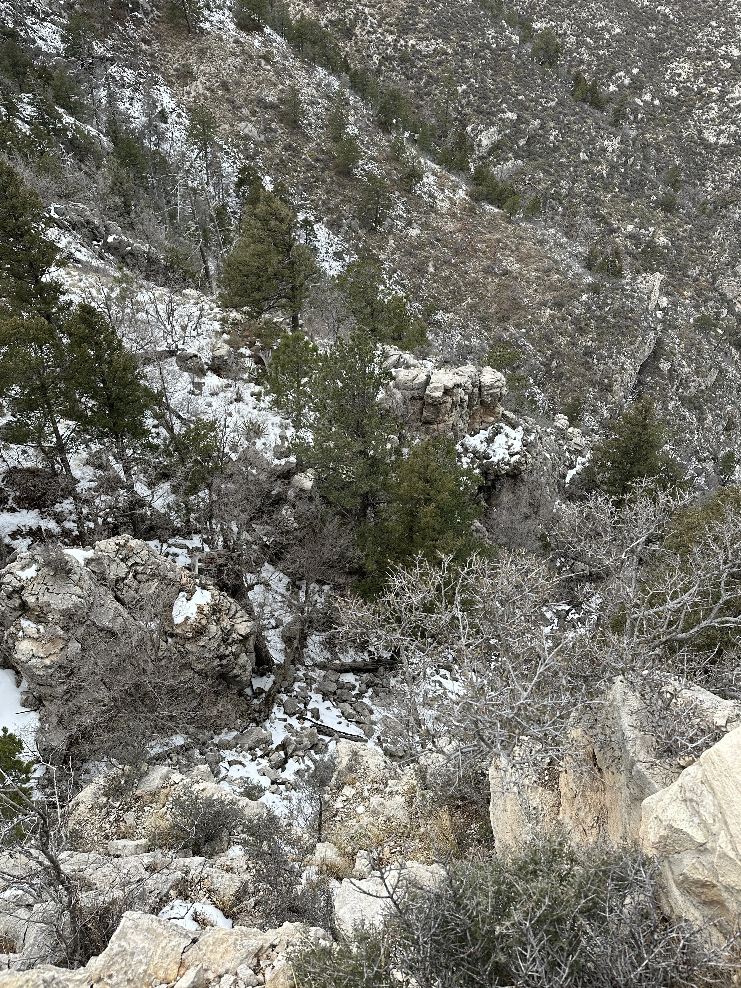2024-01-31_11-18-49_871.jpeg