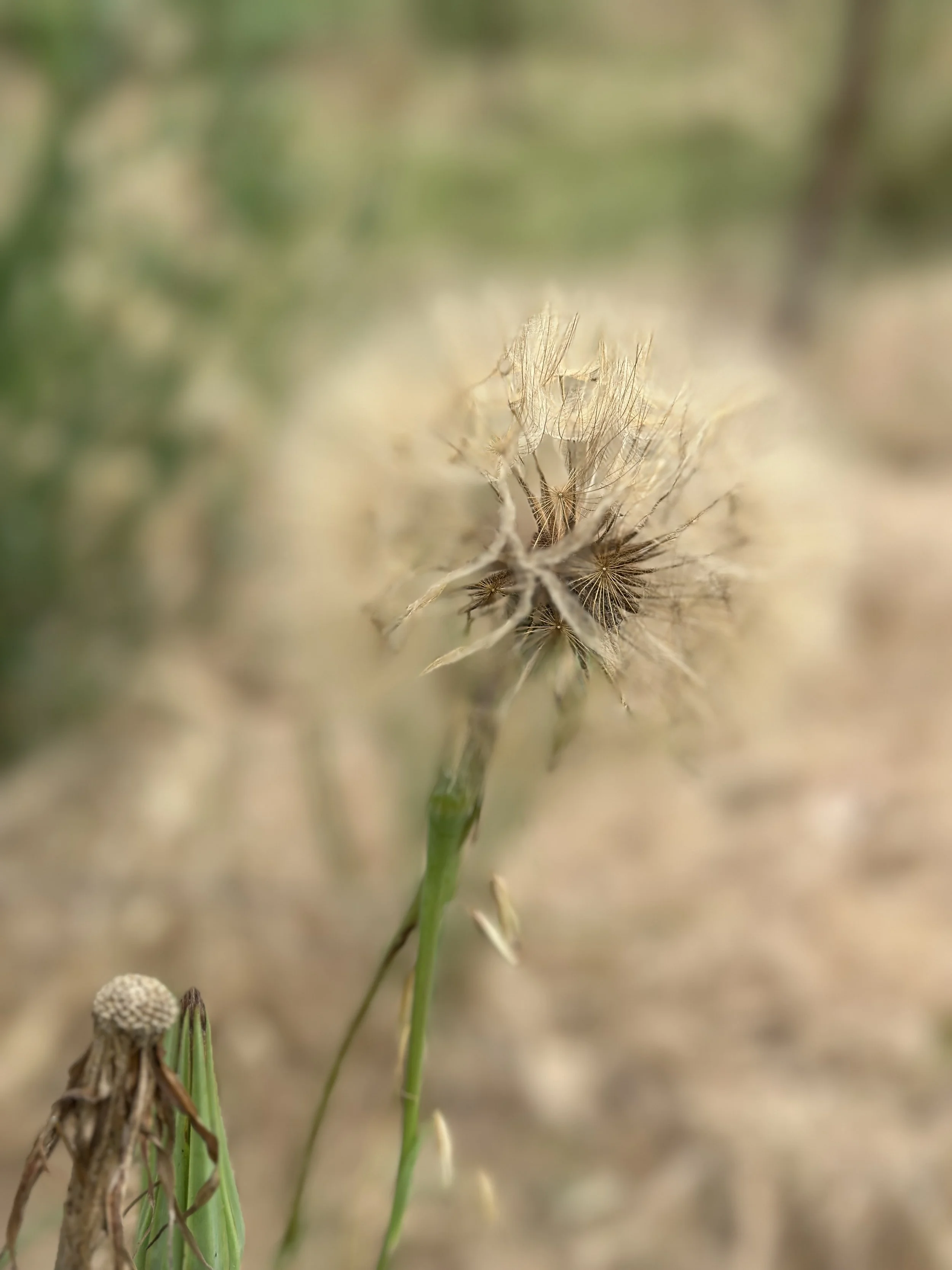 2024-05-20_13-25-16_919.jpeg