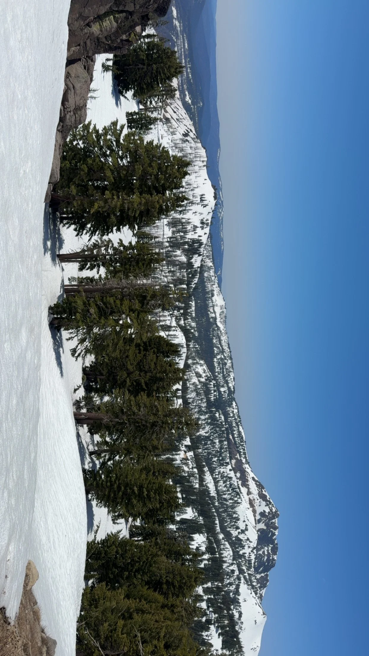2025-05-20_12-05-13_587.jpeg