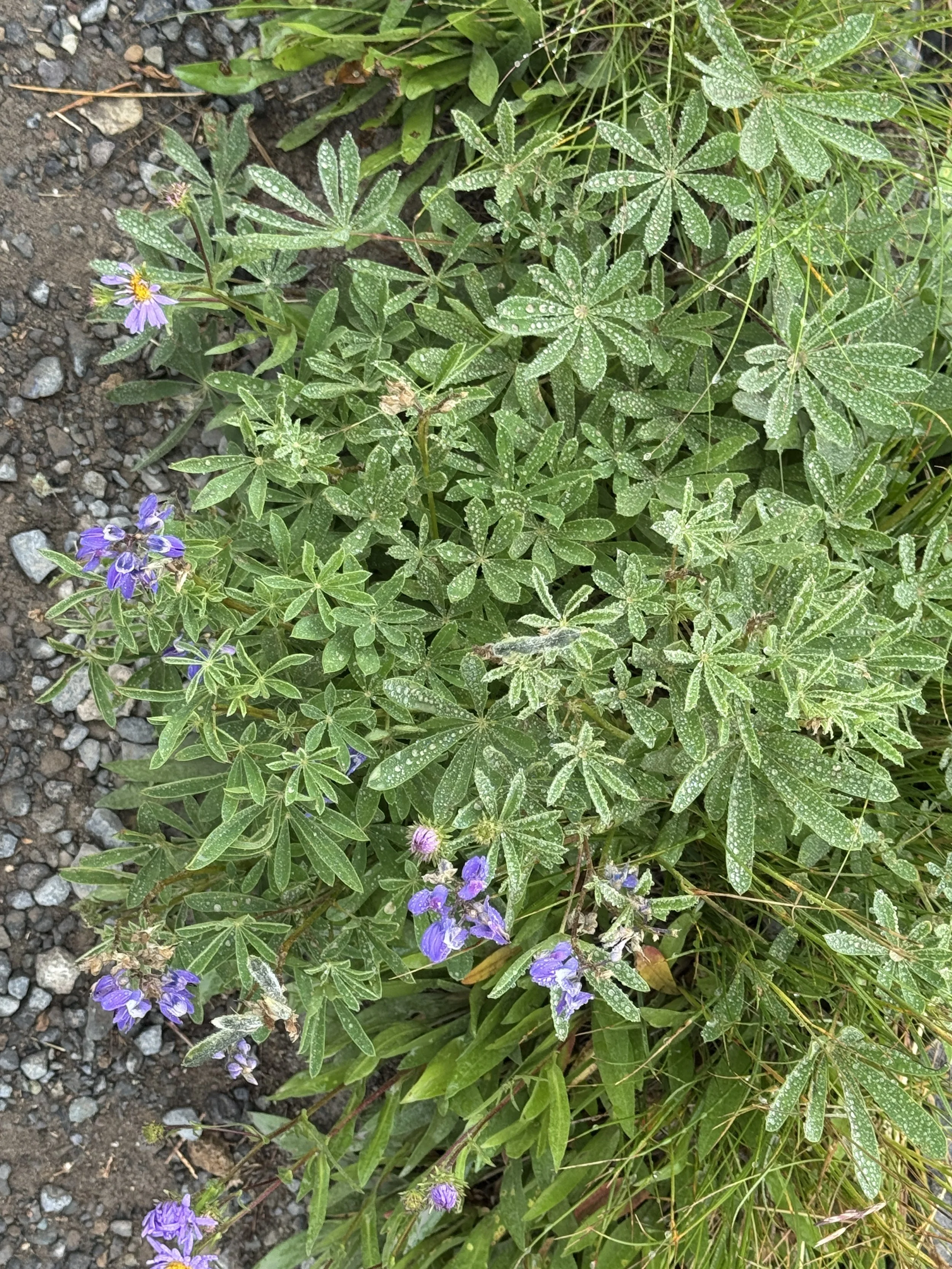 2026-07-28_11-03-35_907.jpeg
