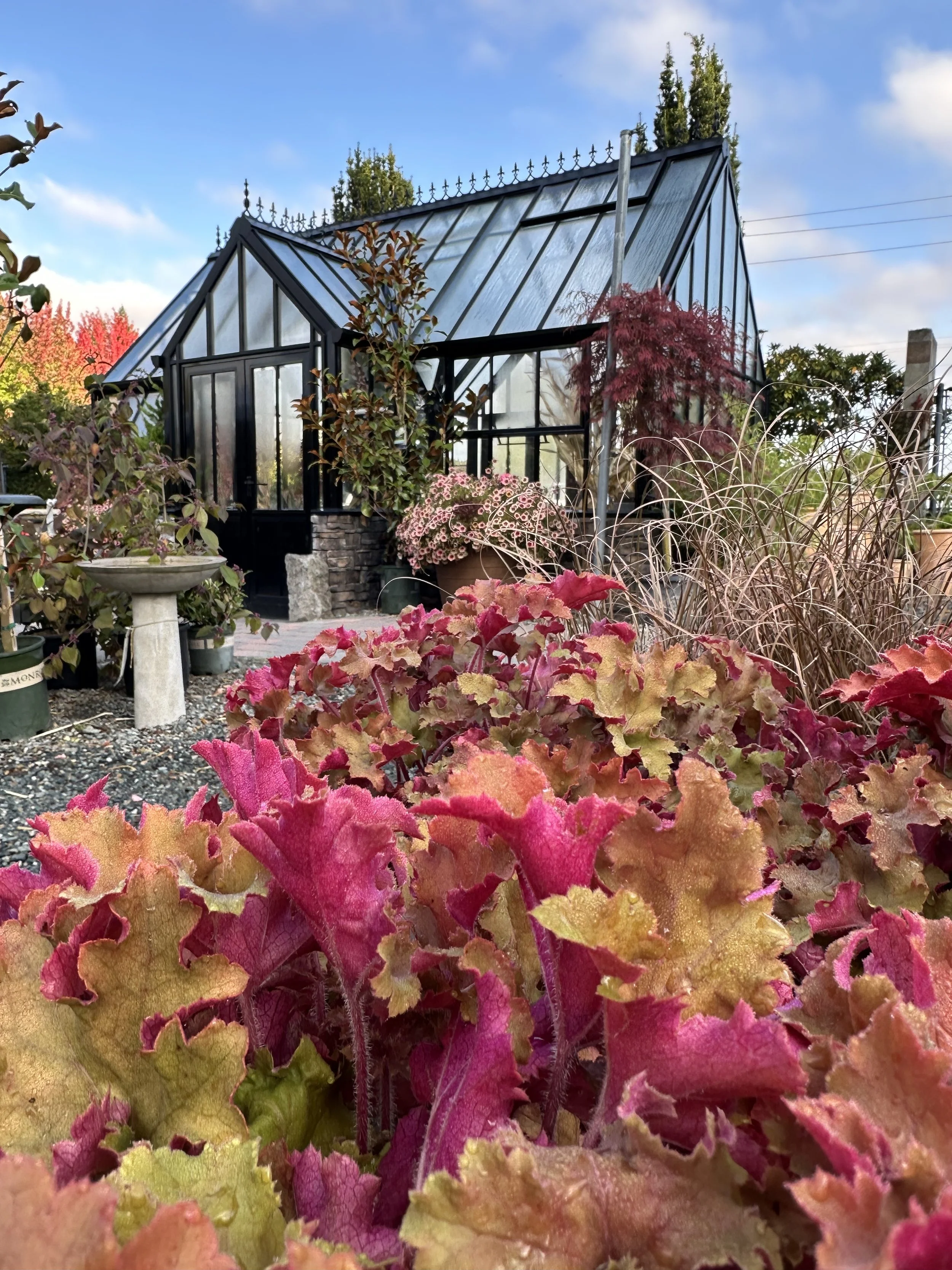 Bayview Flowers Care | Best Flower Site