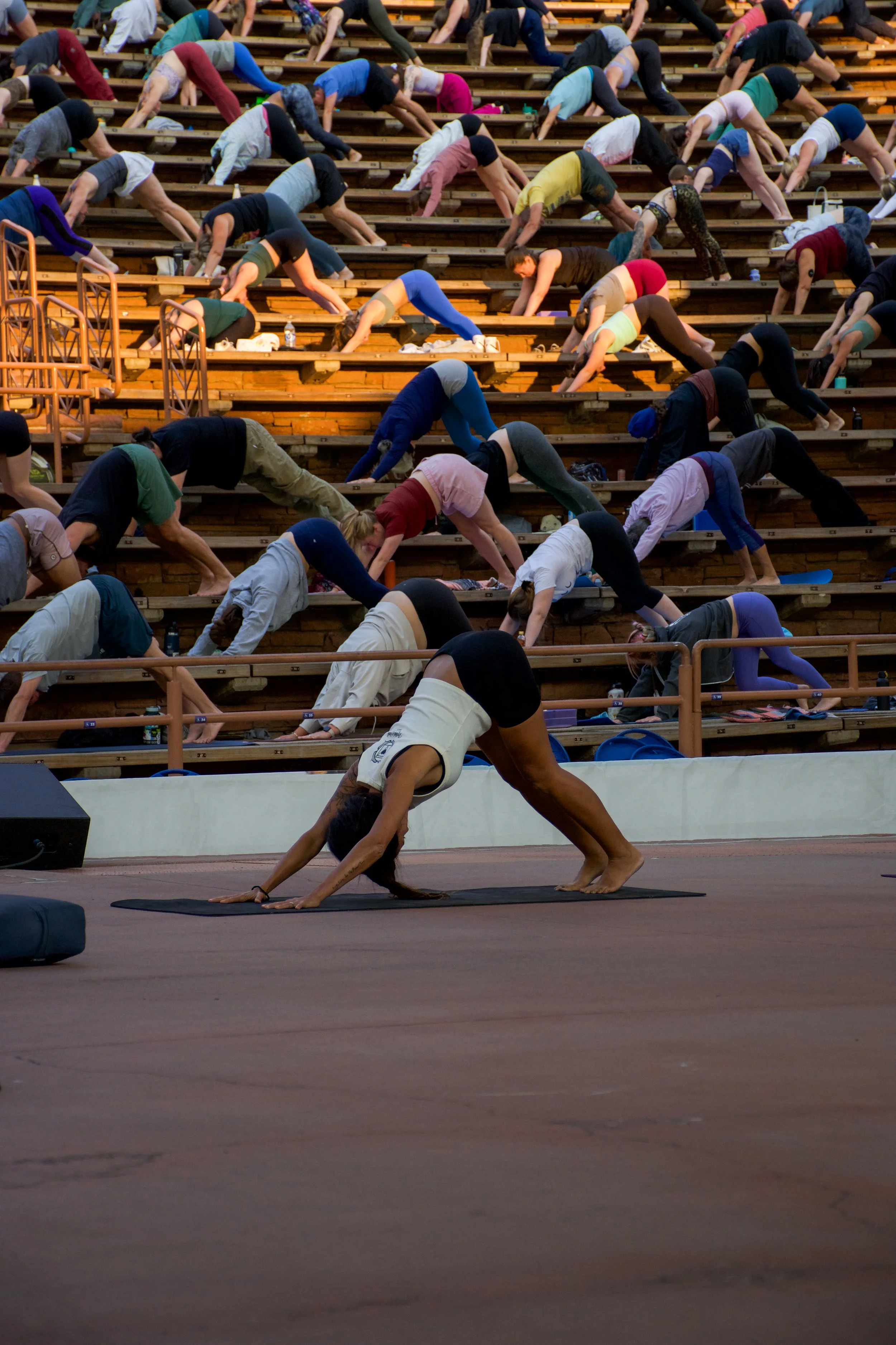 DSC_0454.jpg