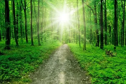 Why do we fear the truth when the truth sets us free?