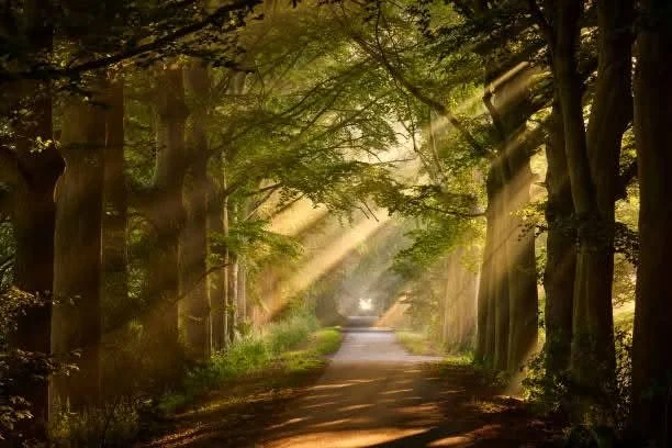 An Antidote to Fear 