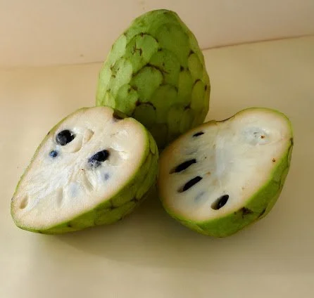 Custard apple exotic fruits